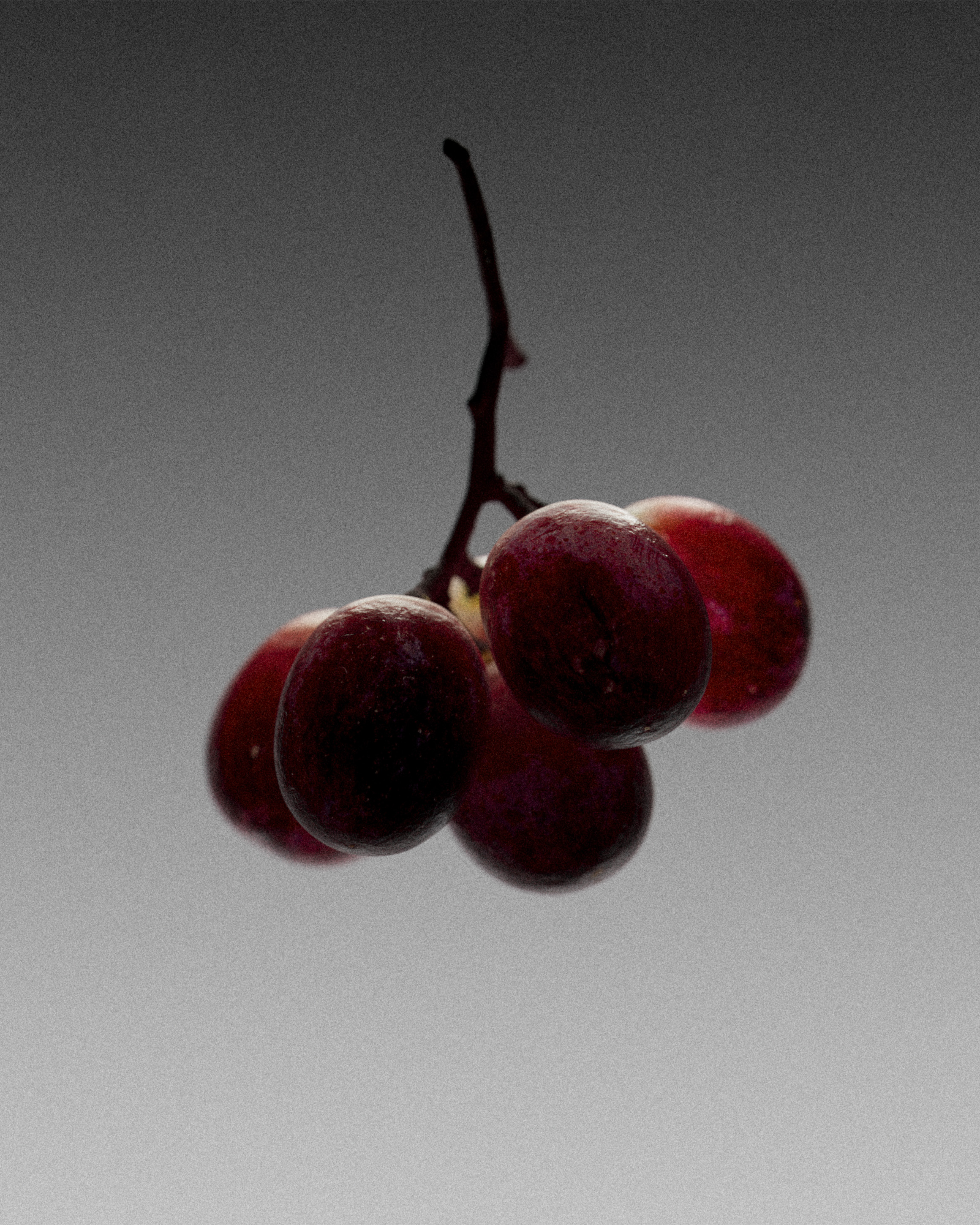 Albert Villegas Office, project: BATUSSA® (fig. 3)